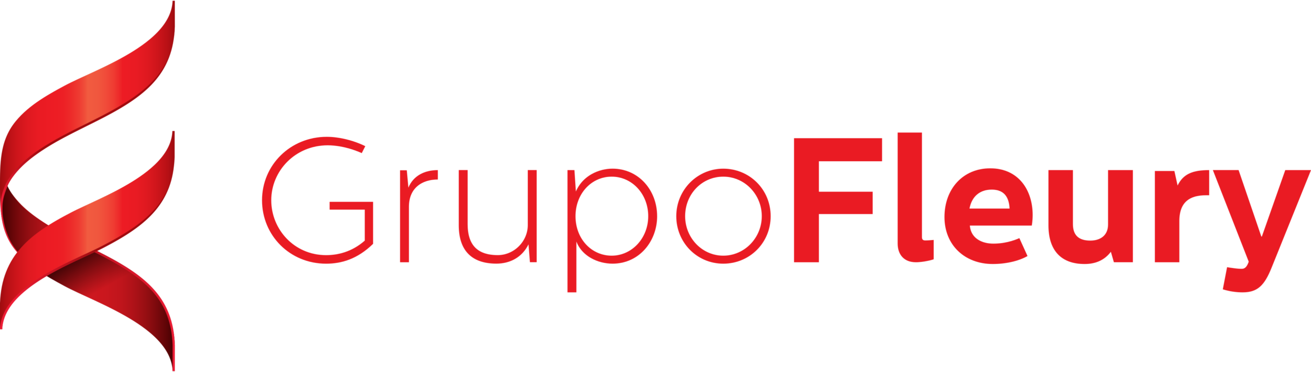 GRUPO FLEURY